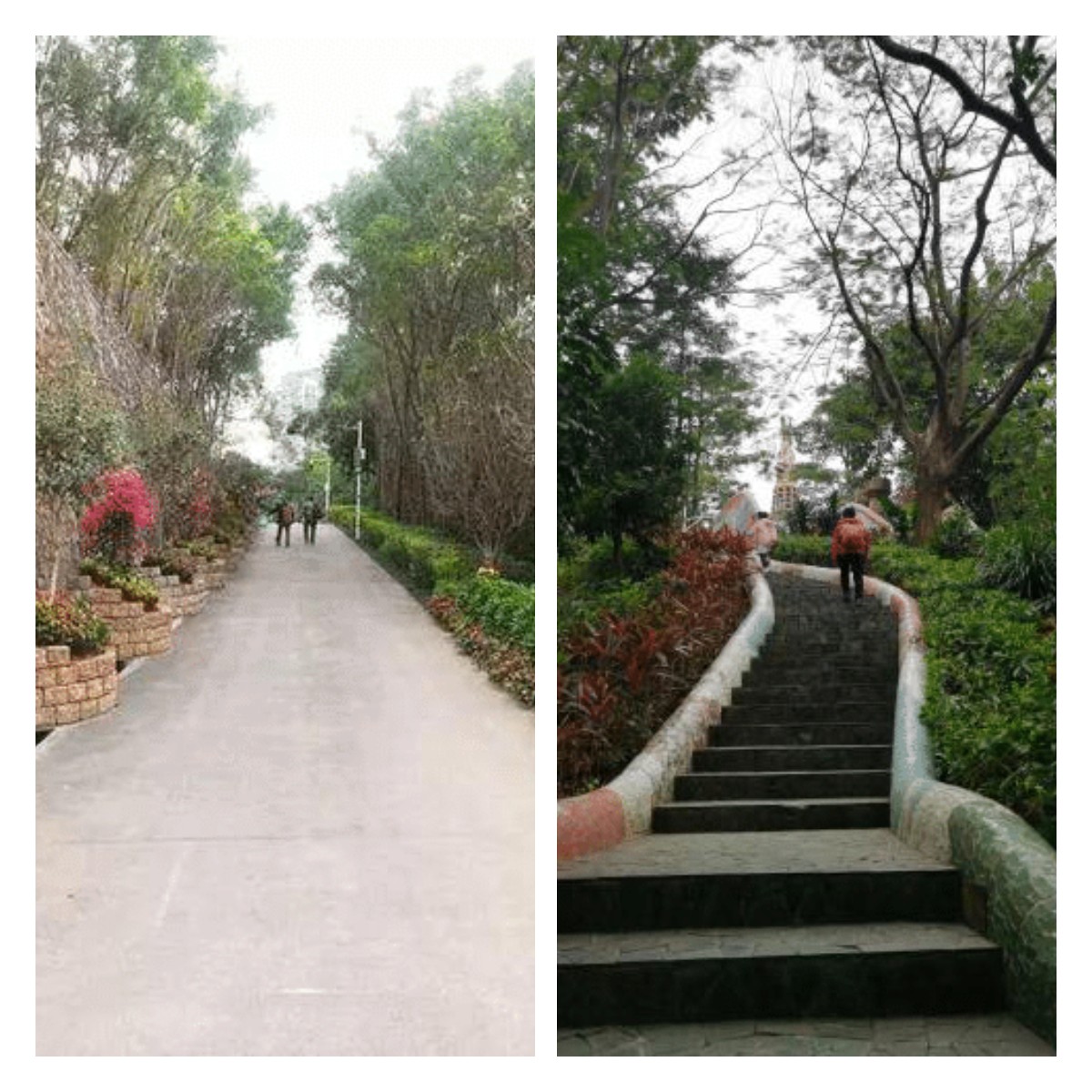 廣州呼叫系統 廣州呼叫系統